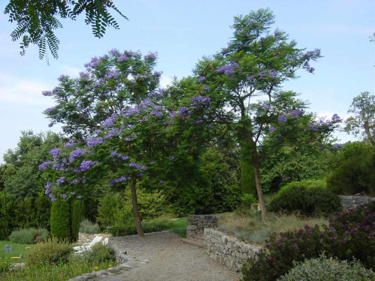 Ca Landreu Ecoturisme Villa Tiana Bagian luar foto