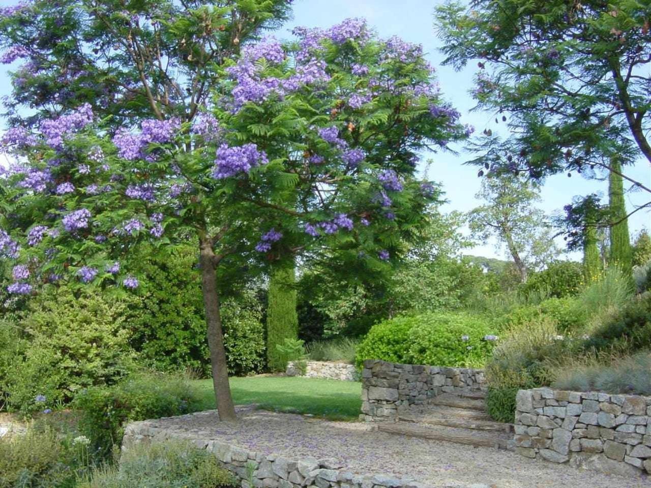 Ca Landreu Ecoturisme Villa Tiana Bagian luar foto